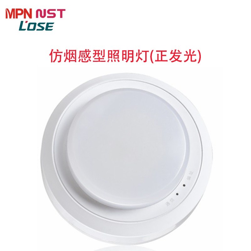集电集控仿烟感型应急灯(正发光)