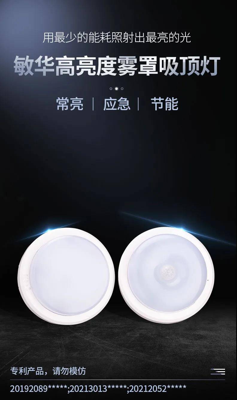 敏华应急灯雾罩吸顶灯
