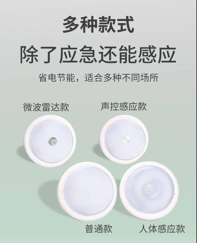 敏华应急灯雾罩吸顶灯4 敏华应急灯雾罩吸顶灯4